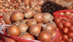 في ظل المغرب الأخضر..واردات المملكة من البصل ترتفع إلى مستوي قياسي بأزيد من 21 ألف طن..
