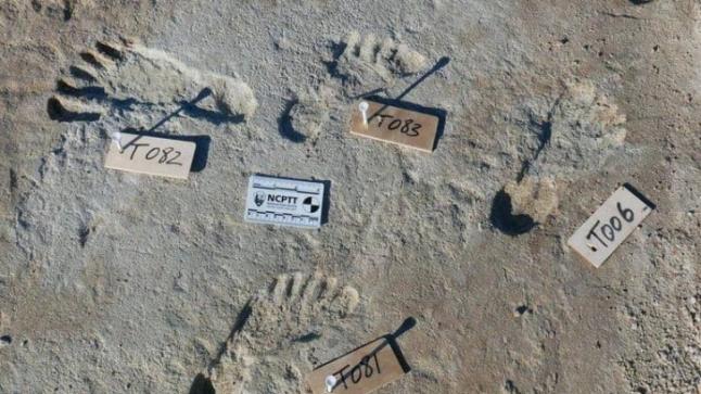 اكتشاف أقدم آثار أقدام بشرية بشمال إفريقيا وجنوب البحر الأبيض المتوسط في المغرب