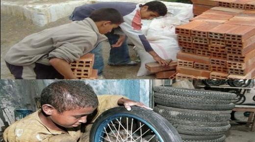 المندوبية السامية للتخطيط: 77 ألف طفل مشتغل يزاولون أشغالا خطيرة