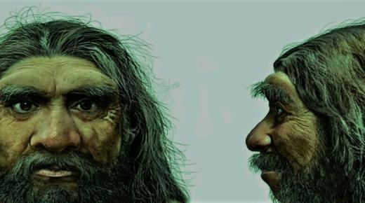 دراسة تكشف أن ظهور الإنسان على الأرض أقدم مما كان يُعتقد..