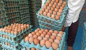 ارتفاع جديد في أسعار البيض..