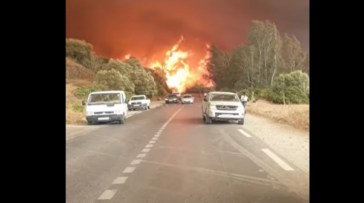 المملكة المغربية تتابع ببالغ الأسى والأسف حرائق الغابات بالجزائر ￼