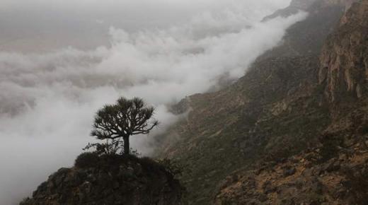 لن تجرؤ على دخوله… كهف “مجلس الجن” المرعب الذي يناهز عمره 50 مليون سنة ؟