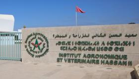 وزير الفلاحة ينهي القلق حول السكن الجامعي التابع لمعهد الحسن الثاني للزراعة