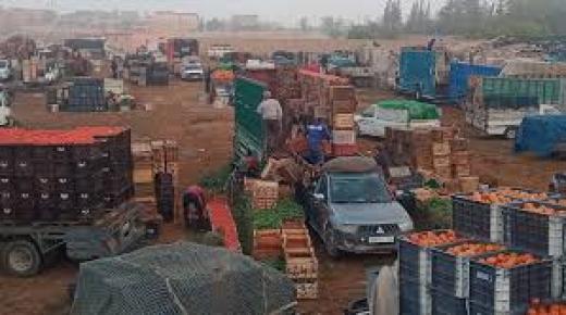 تجار الخضر بالجملة يكبدون الجماعات خسائر مهمة بسبب توزيع بضاعتهم بشكل مباشر على تجار التقسيط بالأسواق المحلية..