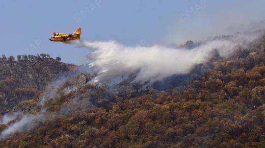 القضاء يحقق في التلاعب بدعم المتضررين من الحرائق