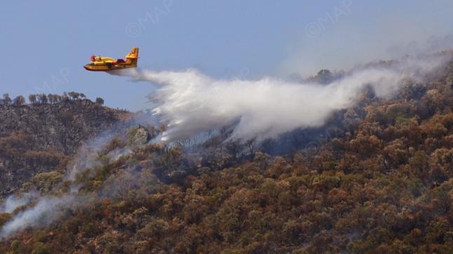القضاء يحقق في التلاعب بدعم المتضررين من الحرائق