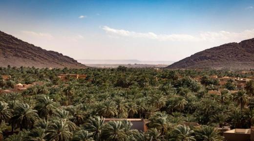 قضية العرجة: مزارعو فكيك فقدوا 1500 هكتار مرتبطة بشبكة الكهرباء المغربية..