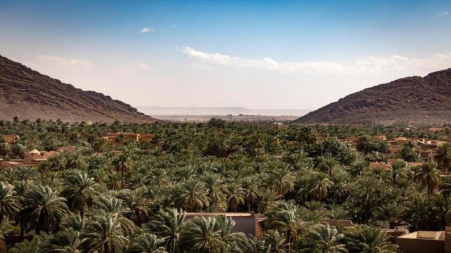 تفاعلا مع قضية موقع “العرجة” بواحة فجيج..الباحث المختص في تاريخ المنطقة الدكتور عكاشة برحاب يدلي برأيه..