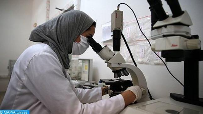 تقرير: الإنتاج العلمي في المغرب لا يزال ضعيف ولا يرقى إلى مستوى الطموحات..