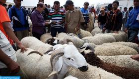اقتراب عيد الأضحى يرفع الحركية في أسواق بيع الماشية