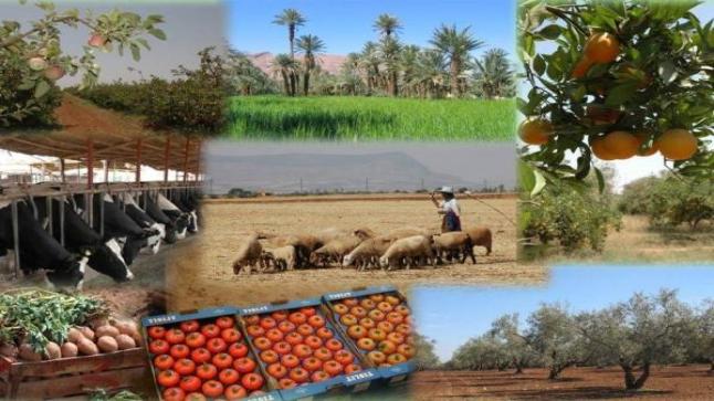 الأمن الغذائي.. المغرب يحرز تقدما كبيرا ضمن أفضل 50 دولة عالميا..