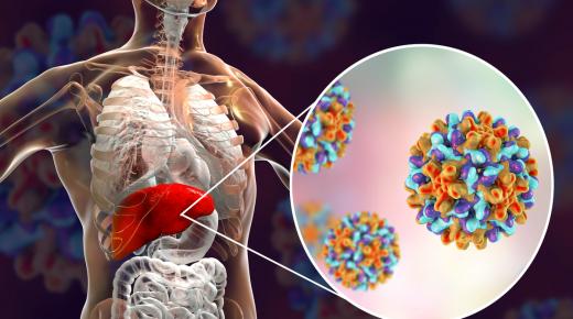 التهاب الكبد الفيروسي بالمغرب .. حوالي 350 ألف مصاب وأكثر من 1000 يموتون سنويا..