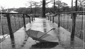 مواهب وابداعات .. على ايقاع المطر..