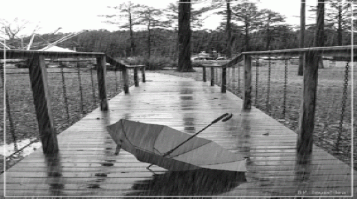 مواهب وابداعات .. على ايقاع المطر..