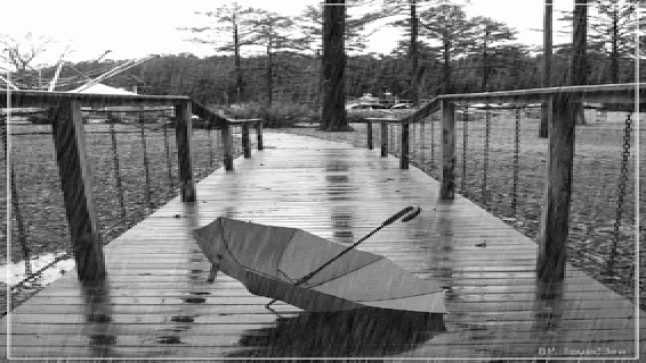 مواهب وابداعات .. على ايقاع المطر..