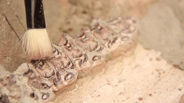 المغرب يعلن اكتشاف حفريات بشرية تعود لـ773 ألف سنة