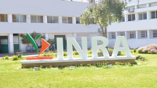 الشبكة المغربية لحماية المال العام تلتمس اكمال مسطرة التحقيقات بشأن الإختلالات المالية والتدبيرية التي هزّت المعهد الوطني للبحث الزراعي..