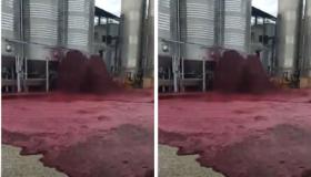 شاهد”فيديو” انفجار خزان يحتوي على آلاف الليترات من الخمور الحمراء..