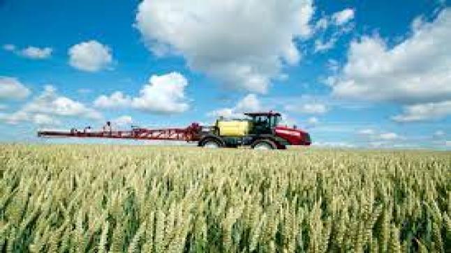 تقرير أممي .. تراجع أسعار الحبوب والزيوت عالميا