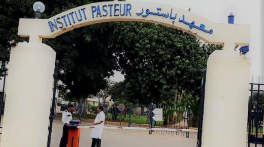 كورونا يضع حدا للمدير السابق لمعهد باستور وأحد أكبر خبراء علم المناعة في المغرب البروفيسور بنسليمان..