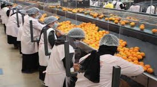 صادرات الحوامض المغربية تسجل رقماً قياسيا خلال الموسم 2021-2022￼