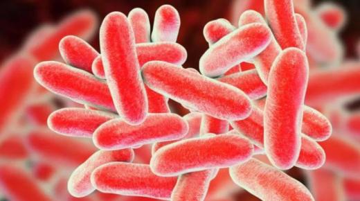 تحذير من فيروس تنفسي قاتل قد ينتشر بعد كورونا..