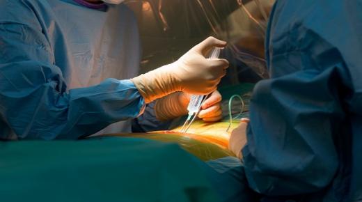 نجاح عمليتي زرع قلبي خنزيرين لشخصين ميتين دماغيا￼