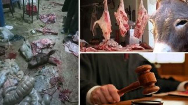 الأمن يعتقل شبكة تبيع لحوم الحمير والبغال