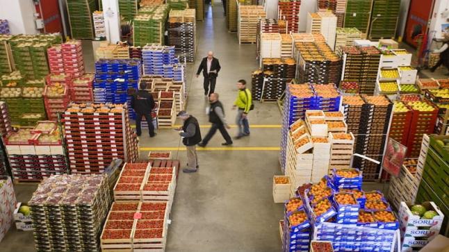 أكثر من 31 بالمائة من واردات إسبانيا من الخضر والفواكه قادمة من المغرب..