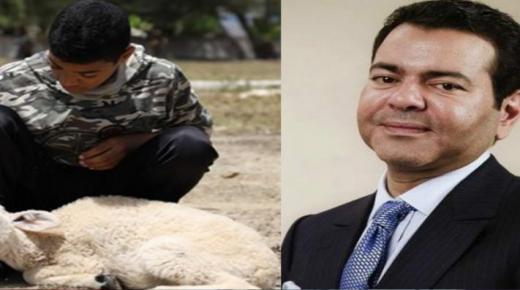 الأمير مولاي رشيد يعوّض الراعي الذي دهس فرنسي قطيعه بصنف من الغنم الممتاز..