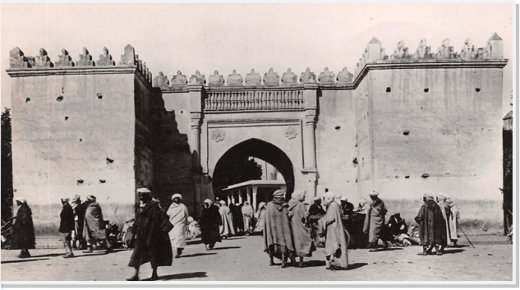 تيفوس مغرب زمان .. معاناة وهجرات وطبيعة لقاح ..