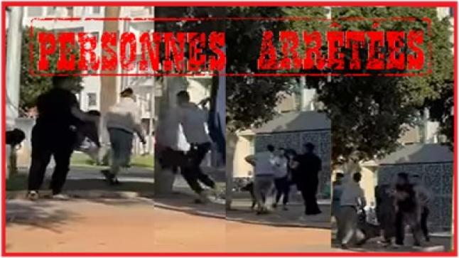 توقيف ستة أشخاص في قضية اعتداء باستعمال كلب شرس..