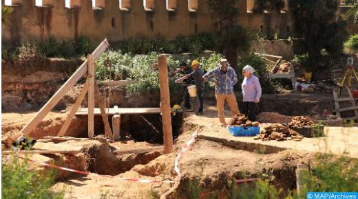 المغرب.. اكتشاف “موزازور” جديد من العصر الطباشيري، سحلية بحرية بـ “أسنان القرش”..