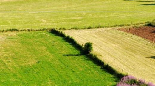 رسميا..إطلاق عملية تمليك 67 ألف هكتار من أراضي الجماعات السلالية