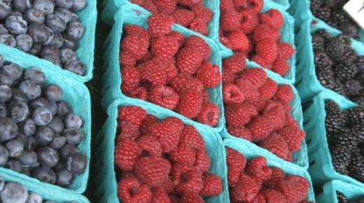 المغرب يحقق أرباحا بقيمة 750 مليون دولار في صادرات التوت الطازج￼￼