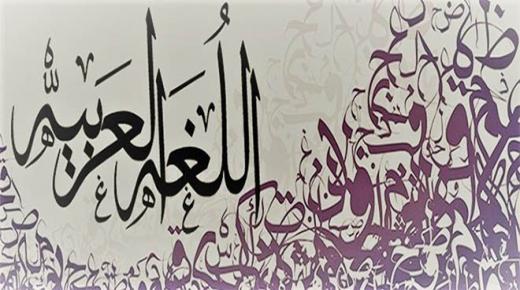 الأسس العلمية لضرورة تدريس العلوم بالعربية في المغرب