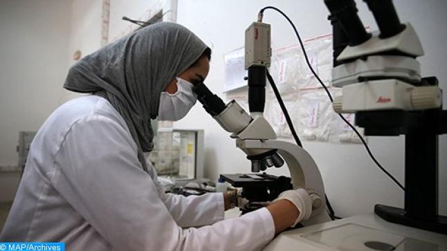 مجلس وطني جديد للبحث العلمي.. تفاصيل تركيبته ومهامه..