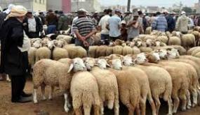 حزب الطليعة الديمقراطي الإشتراكي يقترح إلغاء “عيد الأضحى” بسبب ظروف جائحة كورونا..