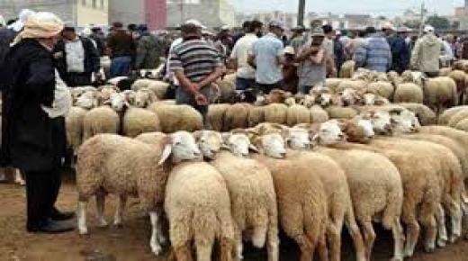 حزب الطليعة الديمقراطي الإشتراكي يقترح إلغاء “عيد الأضحى” بسبب ظروف جائحة كورونا..