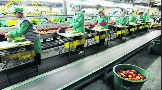 المندوبية السامية للتخطيط: ارتفاع أسعار إنتاج الصناعات الغذائية والصناعة الصيدلانية￼