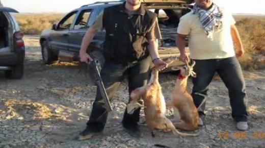 6 أشهر حبسا نافذا وغرامة 690 ألف درهم لمتهمين بقتل 3 غزلان..