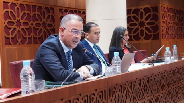 في ما يلي التدابير الجبائية في مشروع مالية 2025