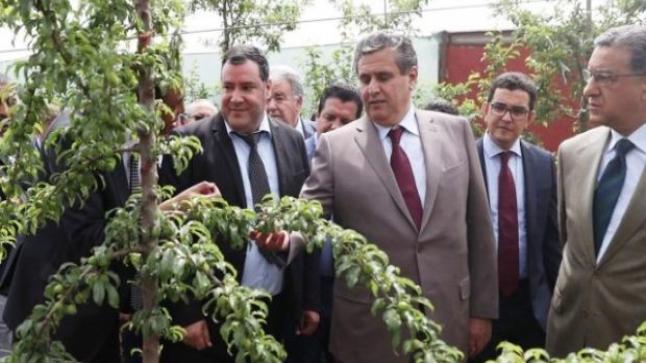 المندوبية السامية للتخطيط توجه صفعة أخرى لأخنوش: النمو بالمغرب تراجعَ بسبب الفلاحة