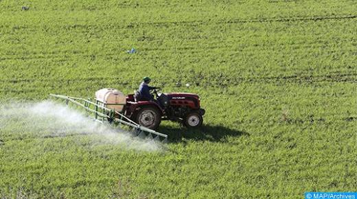 الموسم الفلاحي 2020-2021 : توقعات بموسم حبوب جيد جدا بإنتاج بقيمة 98 مليون قنطار..