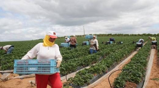 رسميا..ما يناهز 10.7 ملايين مغربية خارج سوق الشغل..