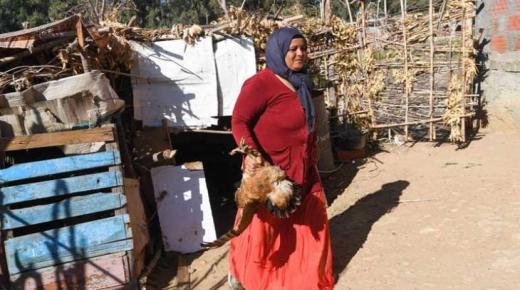 دراسة حديثة .. 70 بالمائة من النساء القرويات لا يتقاضين أي أجر..