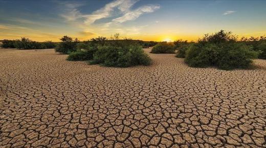 تقرير يكشف “صورة قاتمة” للبشرية بسبب التغير المناخي￼