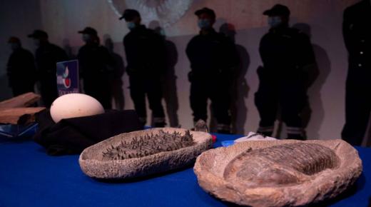 فرنسا تعيد للمغرب كنزا أثريا هربه لصوص.. يضم 25 ألف قطعة أثرية..