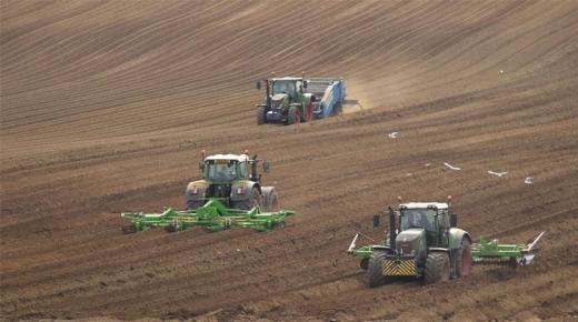 من هم الرابحون والخاسرون في أزمة الفيروس في الاقتصادات الصاعدة؟